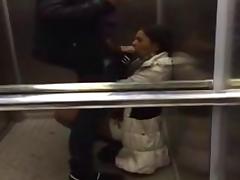 slut suck off cock in elevator tube porn video