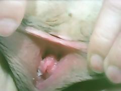 Thick long pussy lips tube porn video