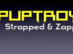 PupTroy, Strapped Down & Zapped, Part 1 tube porn video