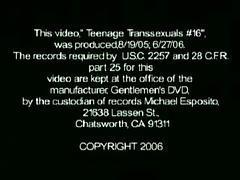 Teenage Transsexuals 16 tube porn video