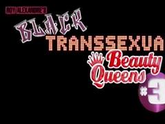 Transexual beauty queens # 3 tube porn video
