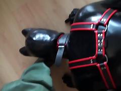 Rubber Puppy Play In Rubber Waders tube porn video