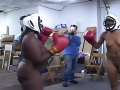 Black Amateurs Boxing Completely Naked tube porn video