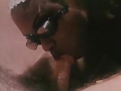 Hot Pursuit - 1983 tube porn video