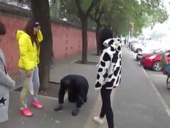 The slave was ridden outdoor and kneel down on the road while slapped tube porn video