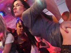 Party girls love the dick and try their best to act slutty tube porn video