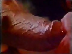 Inch Root tube porn video