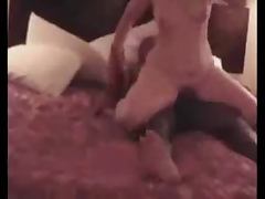 Hubby gets black bull hard for wife tube porn video