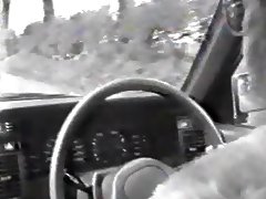 sex in the car and the woods tube porn video