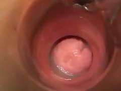 The mustang is at it again tube porn video