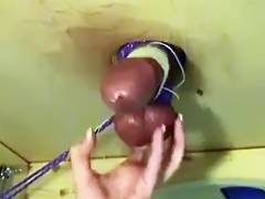 Ms Sadie Milks this Large Penis On Her Magnificence Gap Table tube porn video