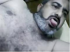 iraq bear man tube porn video