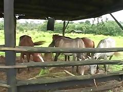 A Black slave fucks his White master at a ranch in the south tube porn video